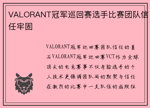VALORANT冠军巡回赛选手比赛团队信任牢固