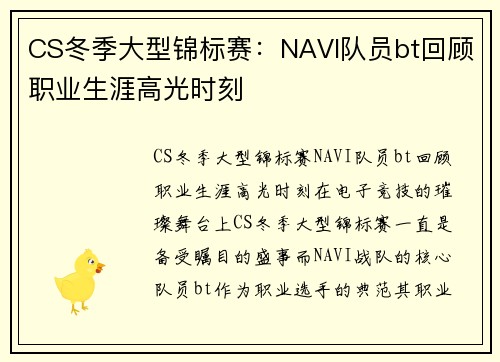 CS冬季大型锦标赛：NAVI队员bt回顾职业生涯高光时刻