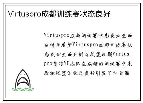 Virtuspro成都训练赛状态良好