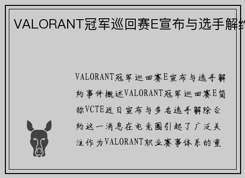 VALORANT冠军巡回赛E宣布与选手解约